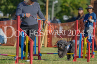 DFI2024-00546.jpg