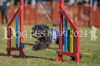 DFI2024-00549.jpg
