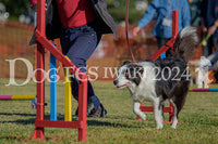 DFI2024-00555.jpg
