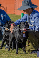 DFI2024-00567.jpg