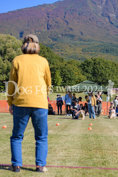DFI2024-00601.jpg