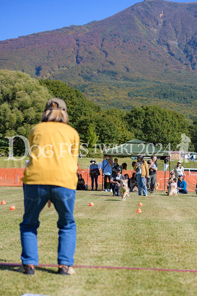 DFI2024-00602.jpg