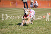 DFI2024-00613.jpg