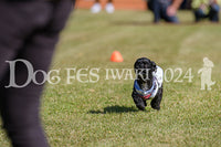DFI2024-00638.jpg