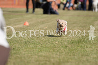DFI2024-00657.jpg
