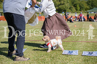 DFI2024-00659.jpg