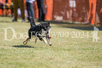 DFI2024-00674.jpg