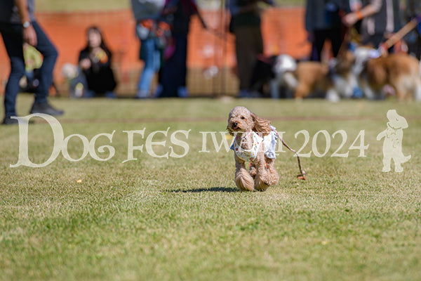 DFI2024-00684.jpg