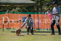 DFI2024-00703.jpg