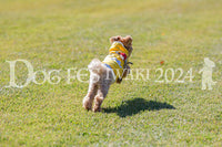 DFI2024-00714.jpg