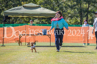 DFI2024-00752.jpg