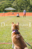DFI2024-00754.jpg