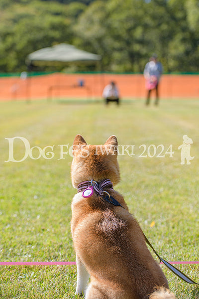 DFI2024-00754.jpg