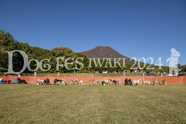 DFI2024-00829.jpg