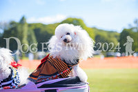DFI2024-00837.jpg