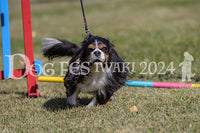 DFI2024-00887.jpg