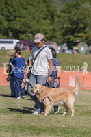 DFI2024-00919.jpg
