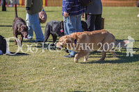 DFI2024-00923.jpg