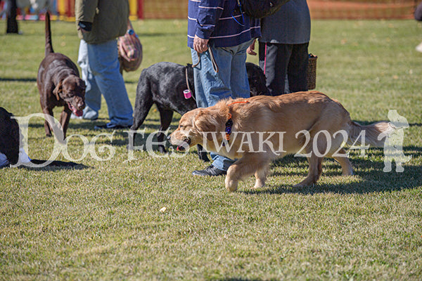 DFI2024-00923.jpg