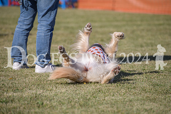 DFI2024-00959.jpg