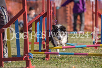 DFI2024-00979.jpg