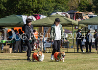 DFI2024-01018.jpg