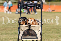 DFI2024-01034.jpg