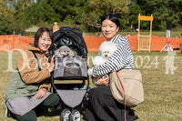 DFI2024-01038.jpg