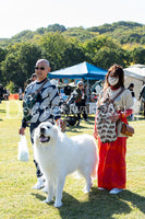 DFI2024-01084.jpg