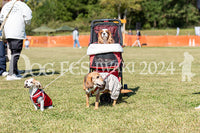 DFI2024-01184.jpg