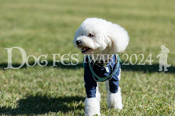 DFI2024-01254.jpg