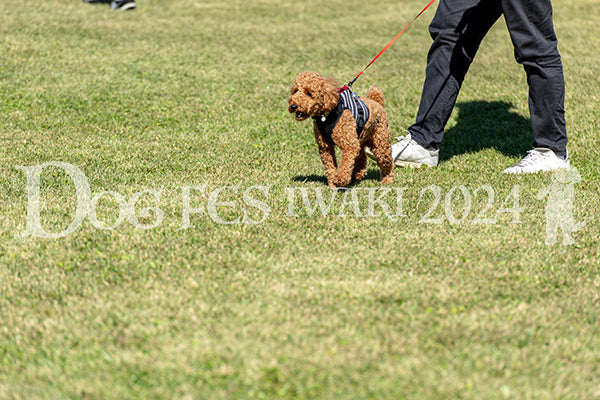 DFI2024-01268.jpg