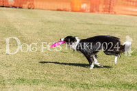 DFI2024-01309.jpg