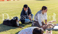 DFI2024-01489.jpg
