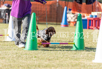 DFI2024-01503.jpg