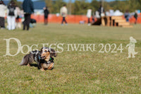 DFI2024-01532.jpg