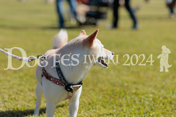 DFI2024-01546.jpg