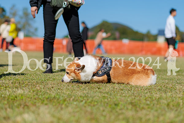DFI2024-01578.jpg