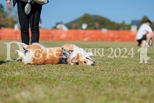DFI2024-01582.jpg