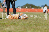DFI2024-01584.jpg
