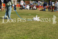 DFI2024-01603.jpg