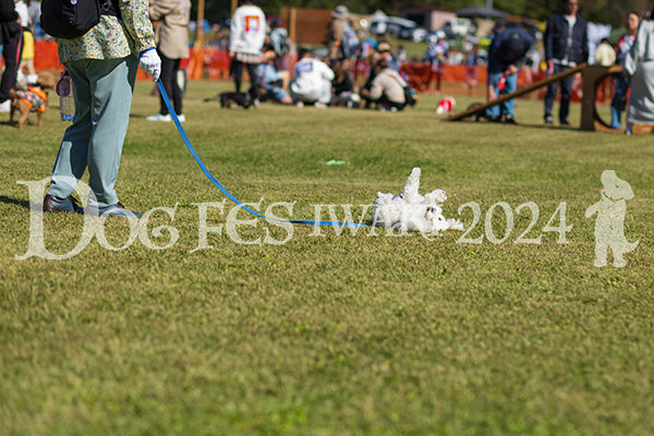 DFI2024-01603.jpg
