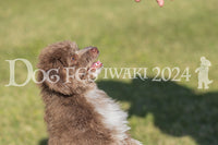 DFI2024-01616.jpg
