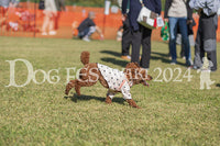 DFI2024-01630.jpg