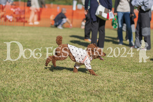 DFI2024-01630.jpg