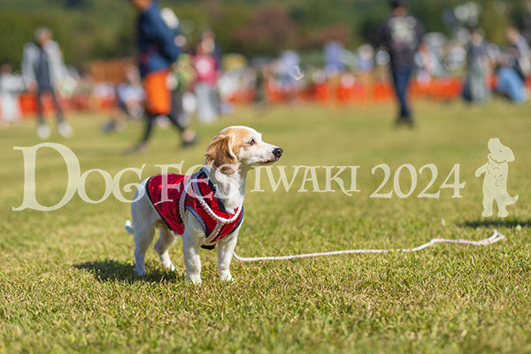 DFI2024-01638.jpg
