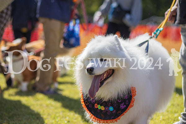 DFI2024-01664.jpg