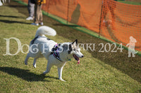 DFI2024-01665.jpg