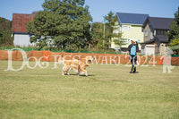 DFI2024-01679.jpg