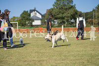 DFI2024-01684.jpg
